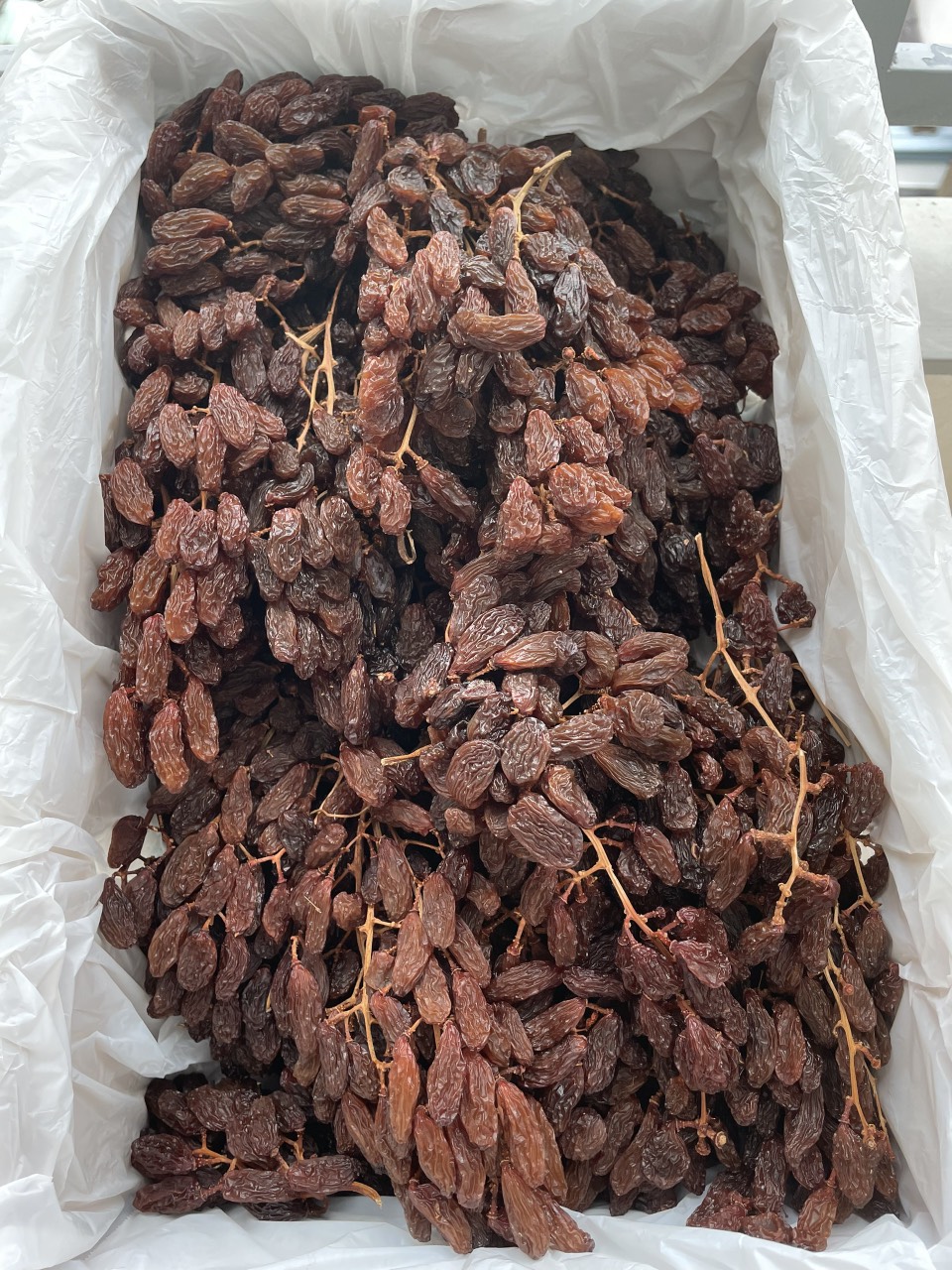 Nho khô nguyên cành Úc 500g