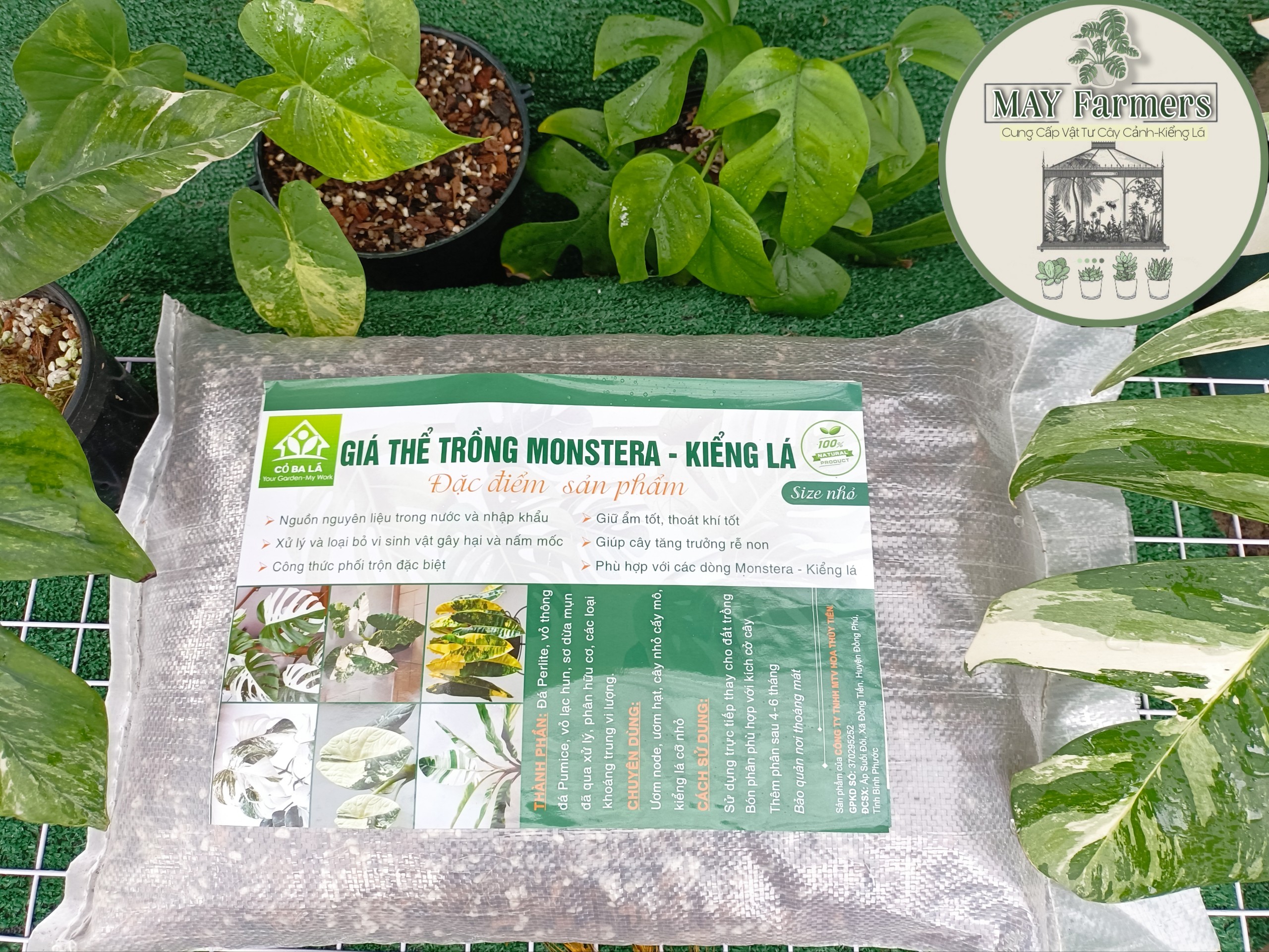 Giá thể trộn sẵn dành cho monstera - kiểng lá + tặng kèm 300gr phân trùn quế viên nén