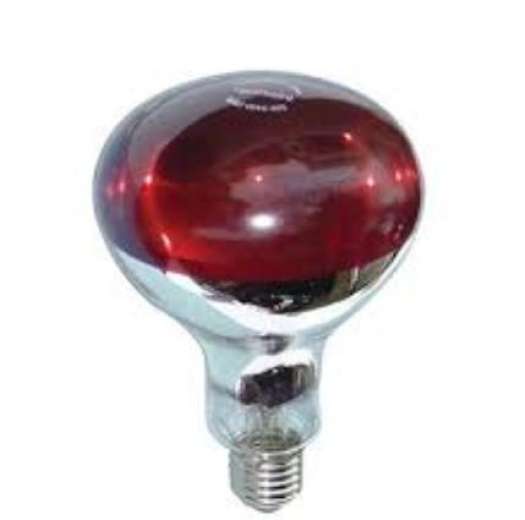 BÓNG ĐÈN HỒNG NGOẠI 75W SƯỞI ẤM THÚ Y CAO CẤP