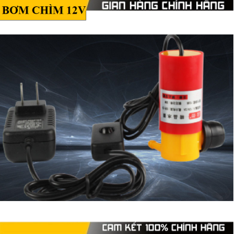 Bơm chìm 12v