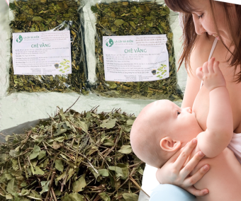 Lá chè vằng phơi khô - Chè Vằng Sẻ Quảng Trị - Chè vằng giảm cân