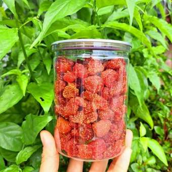 Dâu Tây Sấy Dẻo Thái Lan Lon Pet 300G