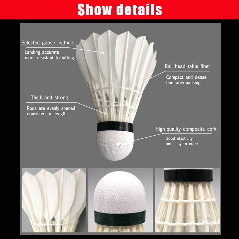 Parts Of The Shuttlecock vlr.eng.br