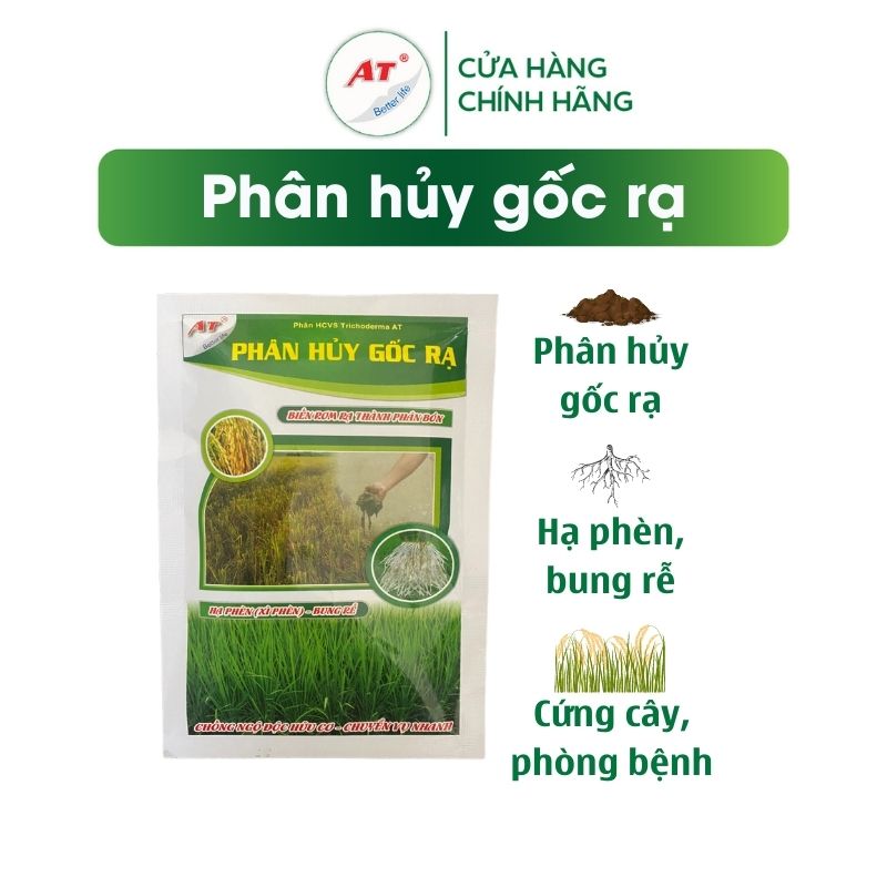 Trichoderma xử lý nhanh rơm rạ tại ruộng, ủ rơm rạ, ủ phân chống ngộ độc hữu cơ - phân hủy gốc rạ at
