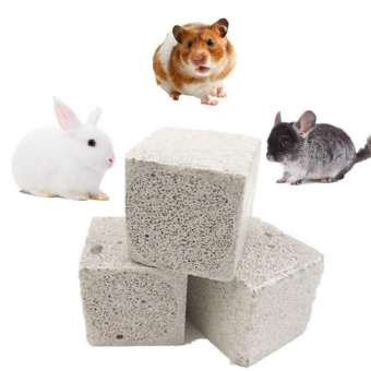 Đá Bọt Mài Răng Cho Hamster, thỏ và bọ