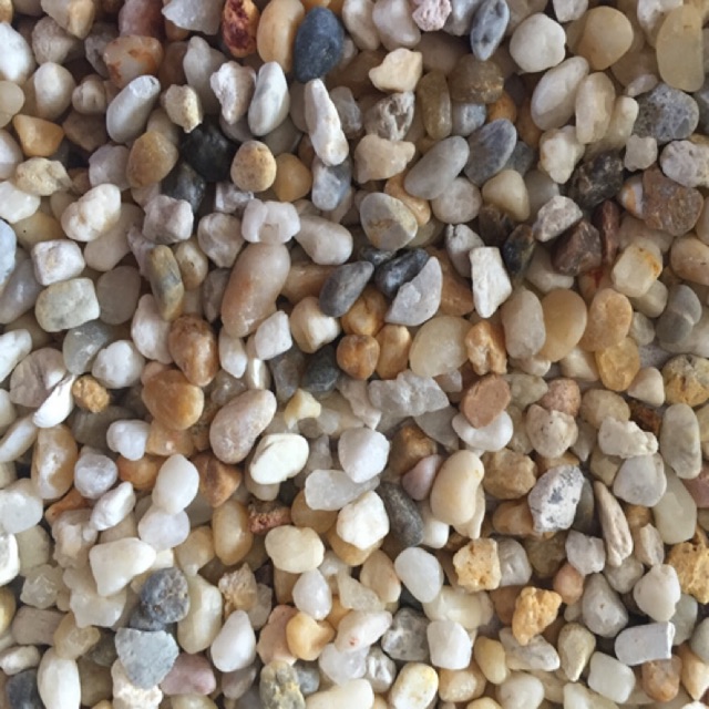 SỎI TRẮNG TRÃI NỀN HỒ THỦY  (5kg)