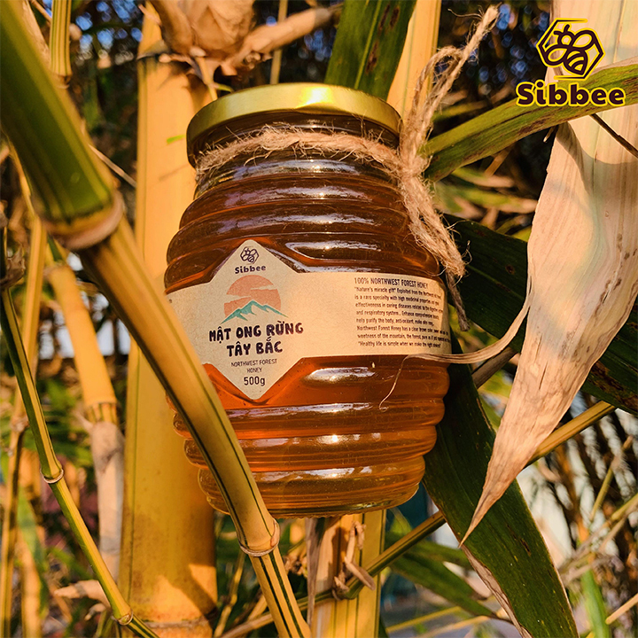 Mật ong rừng tây bắc sibbee 500g - 100% mật ong thật - sb003