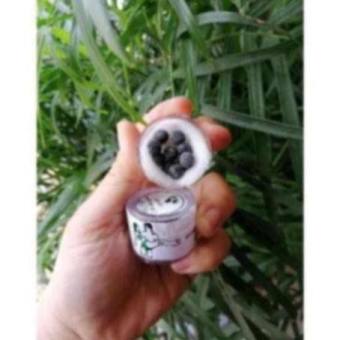 Vien se khit Thái Lan