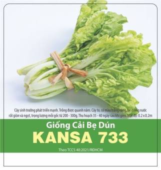 Cải bẹ dún KANSA (10g)