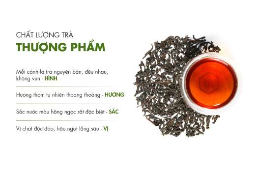 Hồng trà pha chế trà sữa - Gói 100gam trà đen truyền thống B552 Dotea - Chát đặc, hậu ngọt (HỎA TỐC)