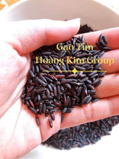 Gạo Lứt Tím Than Hoàng Kim bao 5kg, gạo mềm dẻo không cần ngâm, tốt cho người ăn kiêng, người tiểu đường, thực dưỡng,eatclean, heathy,