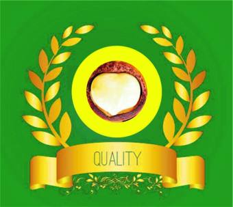 Gương Trang Điểm Mini 2 Mặt Phẳng Để Bàn – Một Mặt Có Thể Phóng To Gấp 3 Lần