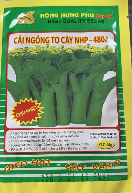Hạt giống cải ngồng to cây nhp-480a