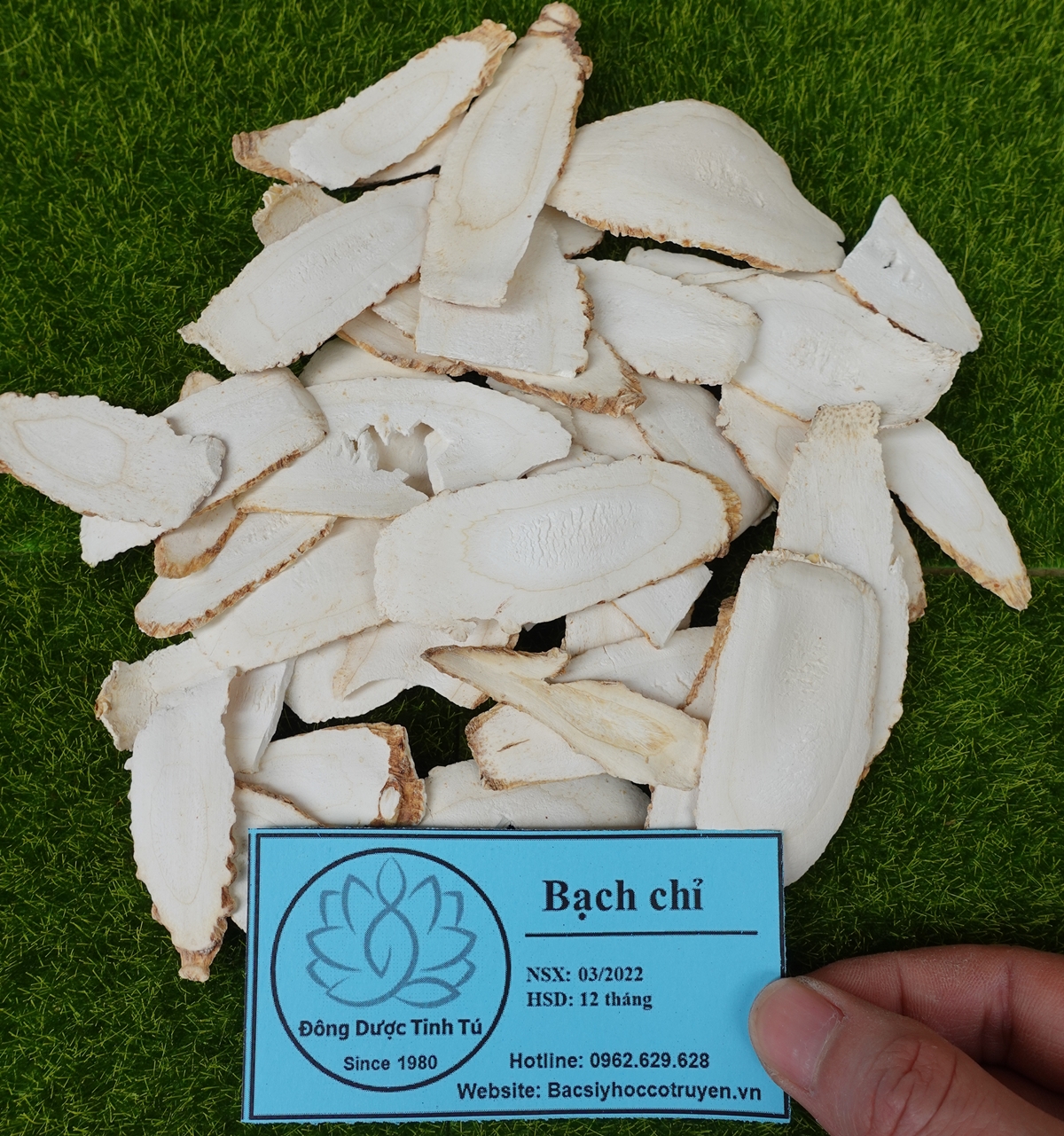 Bạch chỉ 100g, dược liệu loại 1, khô, sạch