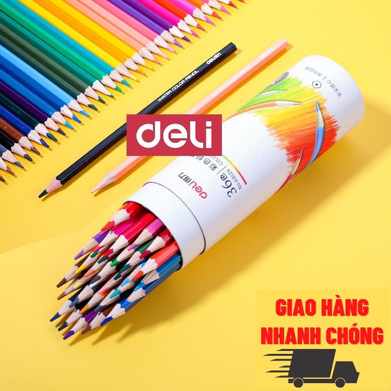 Bút chì màu dạng cốc màu sắc đẹp deli 12 / 24 /36 màu