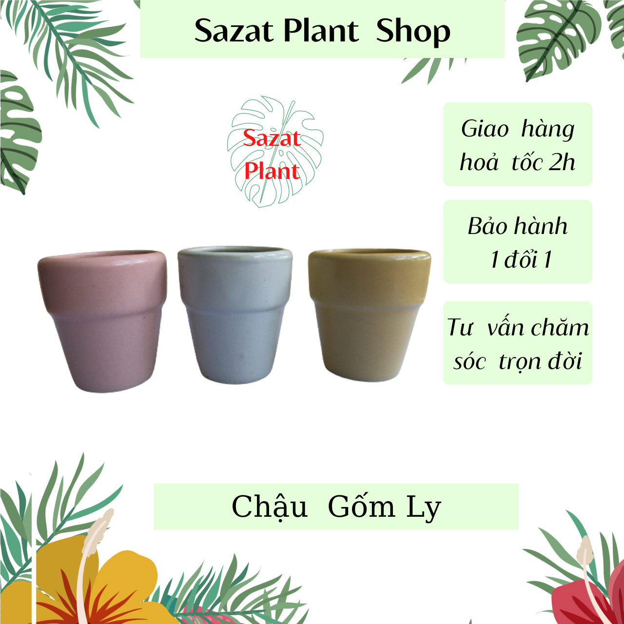Chậu gốm bát tràng kiểu ly gờ, gốm tráng men và không men