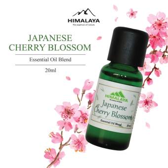 Tinh dầu Himalaya hương hỗn hợp Japanese Cherry Blossom 20ml/50ml