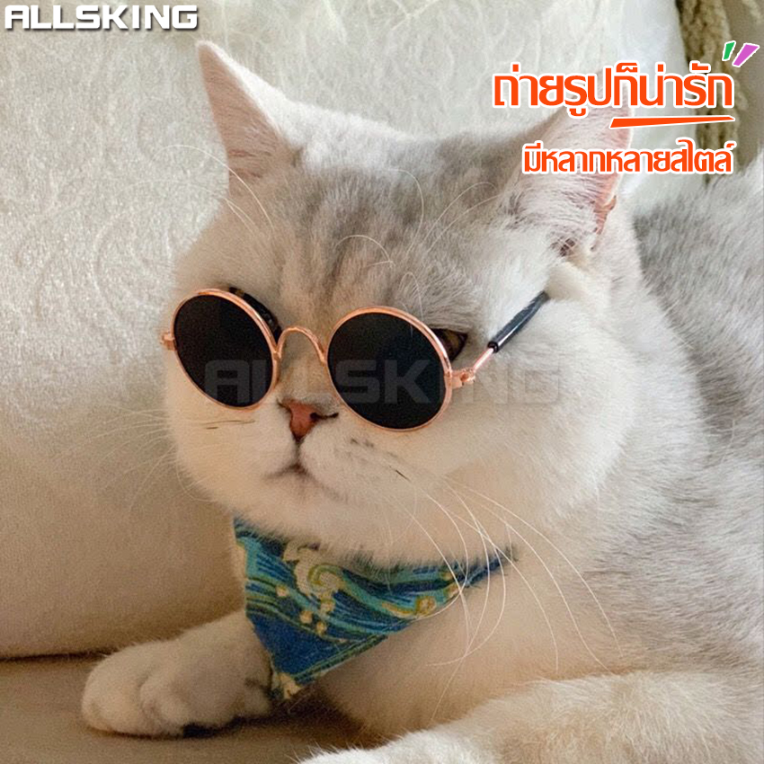 Vintage round cat eye sunglasses cat eye glasses dog cat eye glasses pet goggles for dog/cat eye fashion cat eye glasses ราคา 39 บาท*ส่งฟรี
