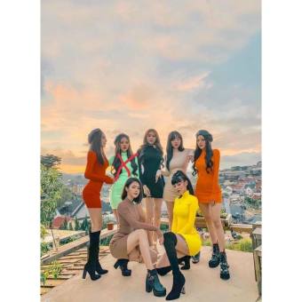 Đầm Body Cổ Lọ Tay Dài ????