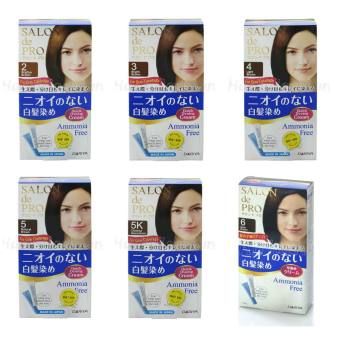 Thuốc Nhuộm Tóc Salon de Pro , NHUỘM PHỦ BẠC  NAM SỐ 6 , SỐ 7