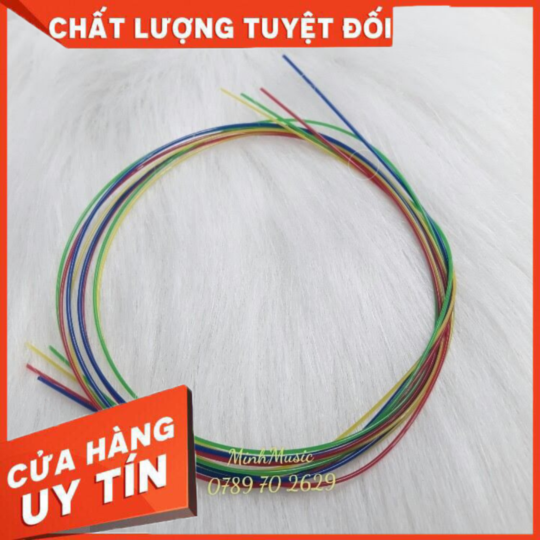 Dây đàn ukulele nhiều màu sắc