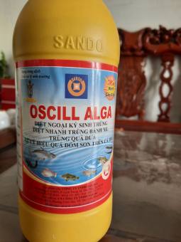 DIỆT KHUẨN OSCILL ALGA[ MUA 5 TẶNG 1] [SANDO]