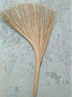 Chổi Dừa Bến Tre