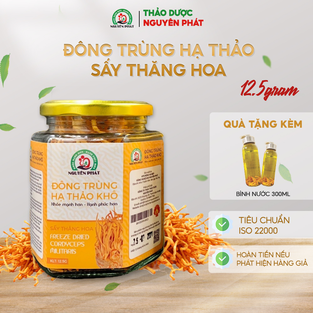 Đông trùng hạ thảo sấy thăng hoa thượng hạng Nguyên Phát giúp bồi bổ cơ thể, tăng sức đề kháng, giúp ăn ngon, ngủ tốt, ngăn ngừa lão hóa
