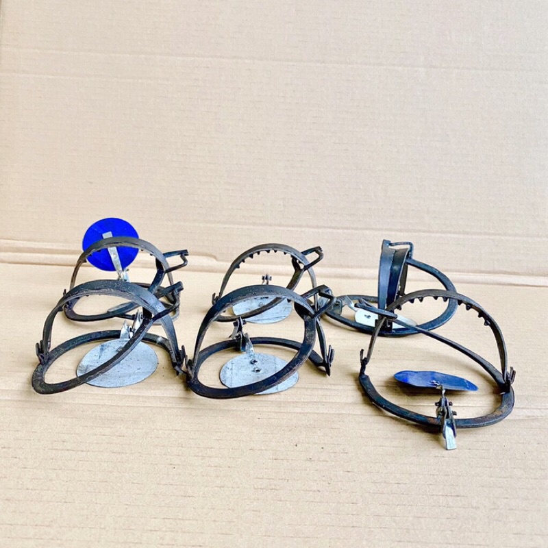 Bẫy chuột thông minh hàm rộng 9cm không cần mồi