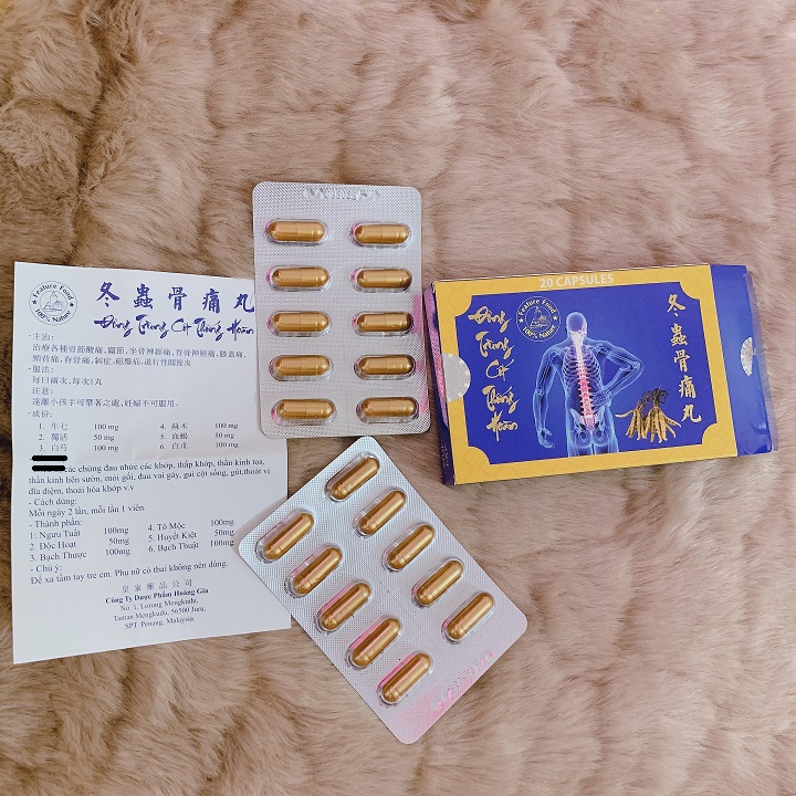 ĐÔNG TRÙNG CỐT THỐNG HOÀN 20V ( VỈ) – HỖ TRỢ XƯƠNG KHỚP