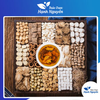 Độc hoạt tang kí sinh thang, hỗ trợ trừ phong thấp, giảm đau, dưỡng can thận- Thảo Dược Hạnh Nguyên