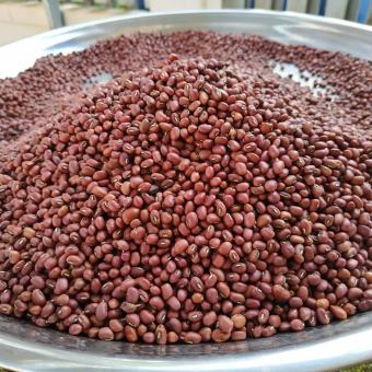 Đậu đỏ hạt nhỏ - 1kg