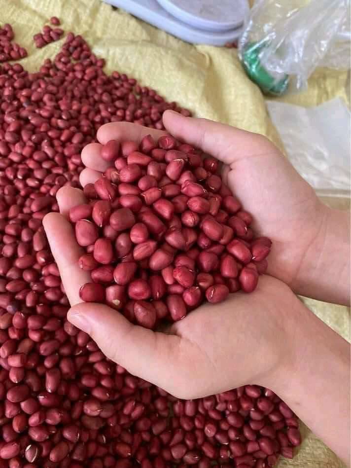 Lạc đỏ tây bắc 1kg-500g-300g