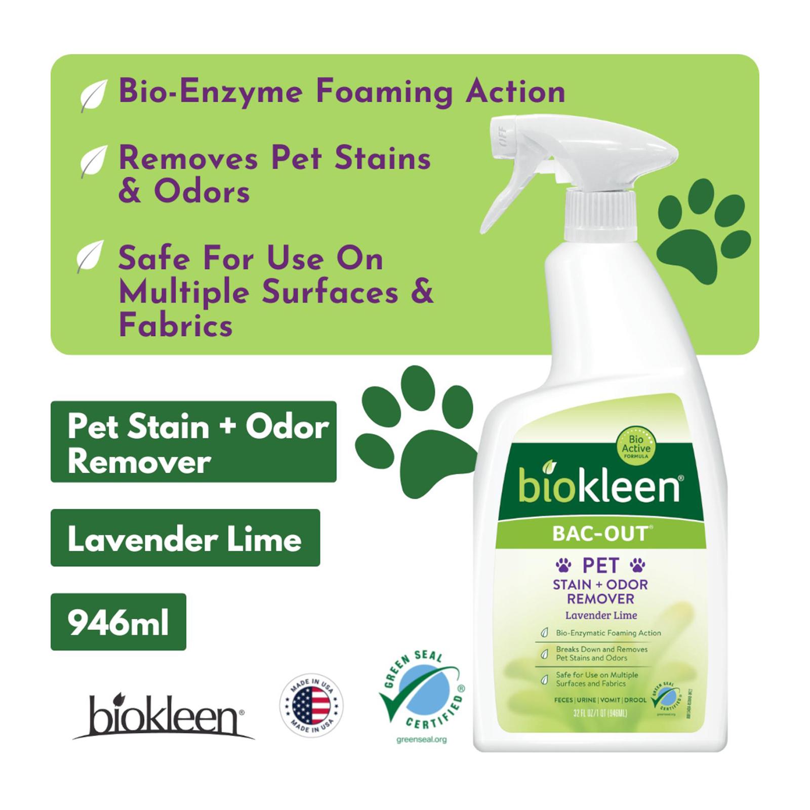 The Best Cat Pee, Odor, And Stain Removal Products, Tested