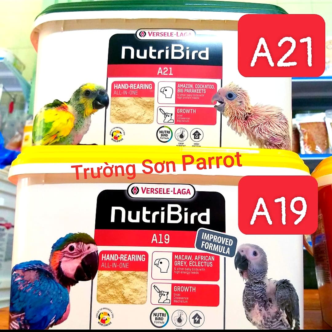 Bột a21/a19 thùng nguyên 3kg của nutri bird date mới nhất