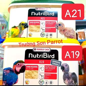 BỘT A21/A19 (NẮP VÀNG/TRẮNG) thùng nguyên 3kg của NUTRI BIRD date mới nhất