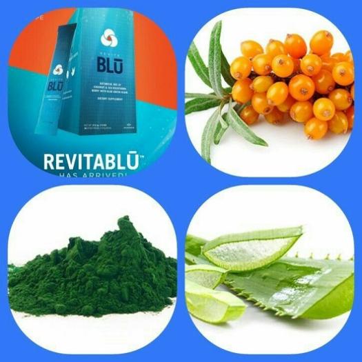 Revita Blu tăng sinh tế bào gốc nội sinh trong hỗ trợ điều trị bệnh cơ  xương khớp - JEUNESS - MỸ - Bộ chăm sóc toàn thân khác | TheFaceHolic.com