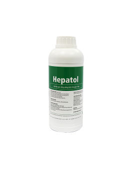 Thú y, Hepatol (1Lít) giải độc gan thận cấp, tăng cường chức năng gan thận cho chó, mèo, gia súc, gia cầm