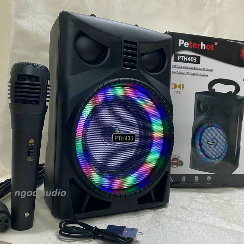 Loa bluetooth Karaoke PTH 403 kèm mic hát