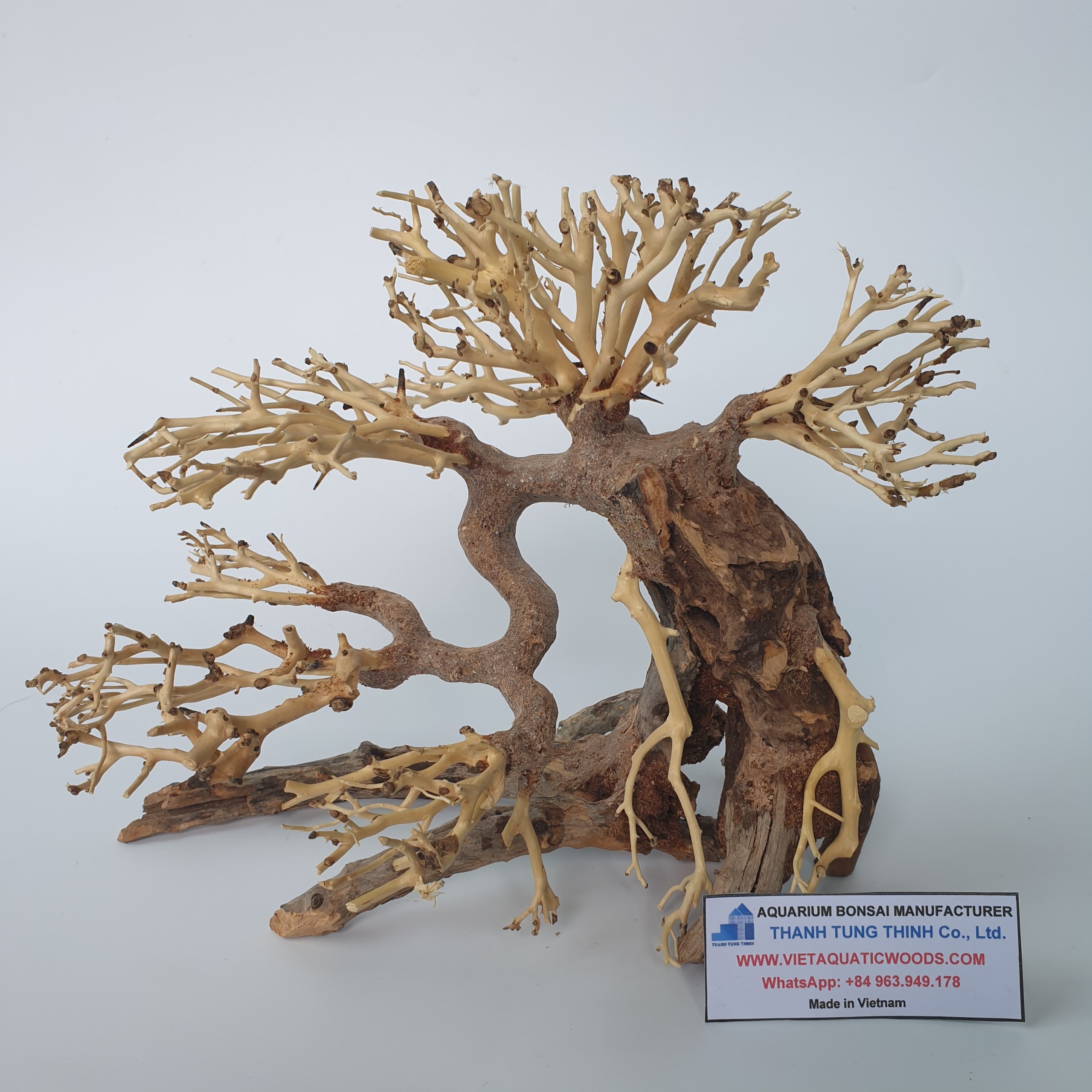 [HCM]Cây Gỗ Lũa Bonsai Thủy Sinh Trang Trí Bể Cá Cảnh/ Aquarium Bonsai Driftwood No.19
