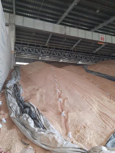 |  THUỐC VIÊN XÔNG DIỆT SÂU MỌT | THUỐC VIÊN QUICK PHOS DIỆT SẬU MỌT |  THUỐC XÔNG MỌT HÀNG NÔNG SẢN KHÔ |