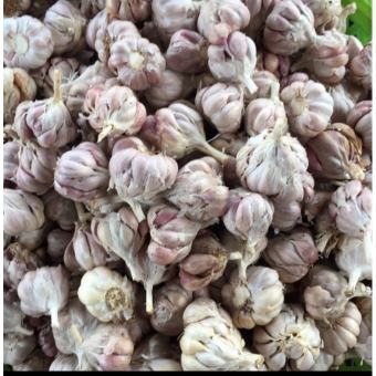 Tỏi Bắc khô 500g