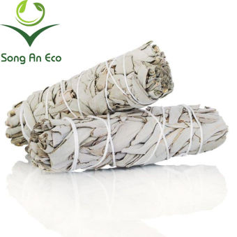 Bó lá xô thơm trắng Thanh tẩy nhà cửa (white sage smudge stick)