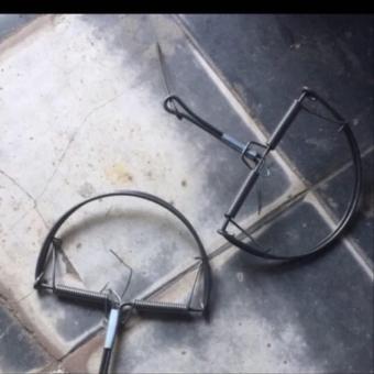 Bẫy chuột bán Nguyệt loại trung đường kính 13cm