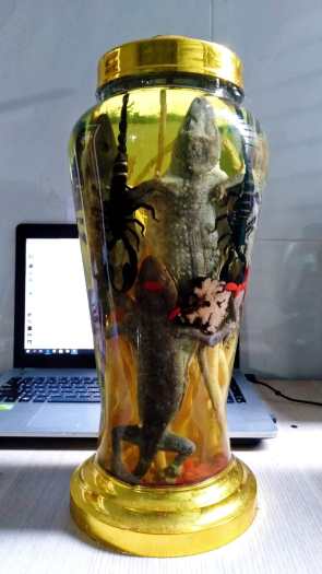 Tắc kè + bọ cạp Bình 5L  ngâm 2 cặp (tắc kè tươi dài 30cm) đảm bảo nguyên chất