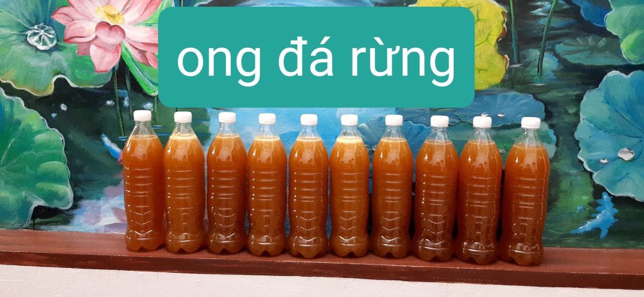Mật ong đá rừng hàng chuẩn 100%
