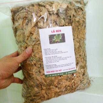 Cây Lá Hen( CÂY BỒNG BỒNG) Thảo dược cho người hen suyễn (1KG)