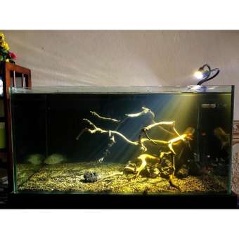 Đèn rọi Biotop 3W ánh sáng vàng