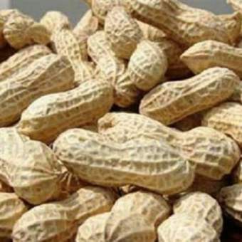 Lạc quê không bóc bỏ 400gr - nông phẩm quê