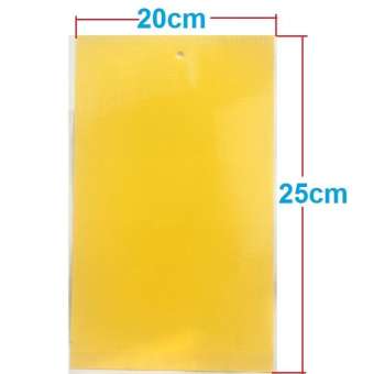 Set 5 miếng dán bẫy côn trùng, ruồi vàng kích thước 20cmx25cm